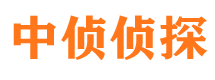 永登市私人调查